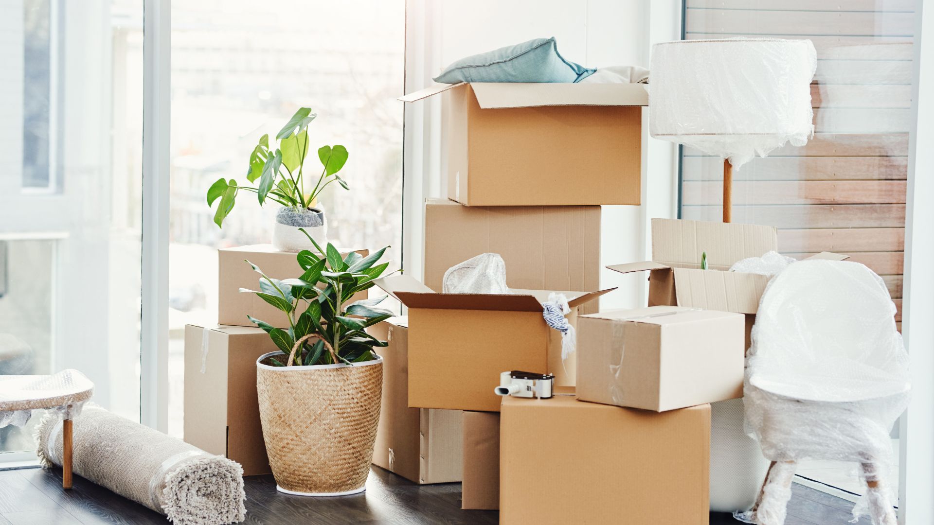 large stack of full moving boxes along with plants and furniture by the window